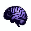 Basic graphic icon of a brain Solid black with dark purple color hues White background